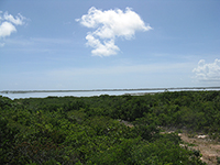 Kings Landing ridge view