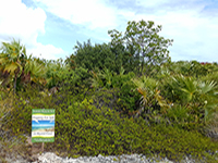 Bambarra interior lot